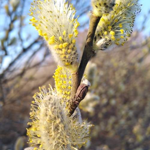 Photo #6077139