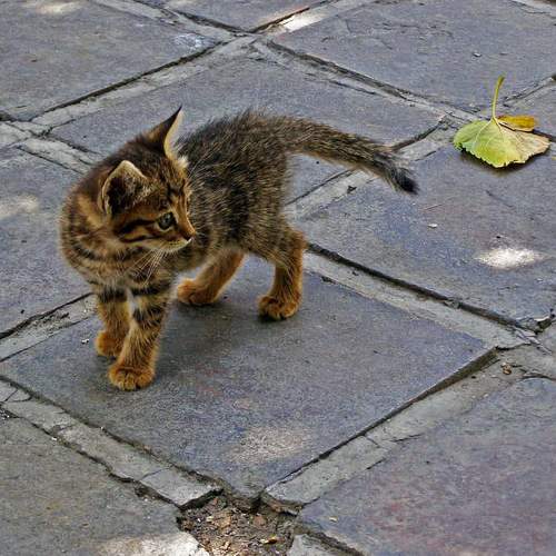 Photo #6077556