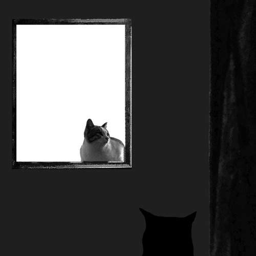 Photo #6077564