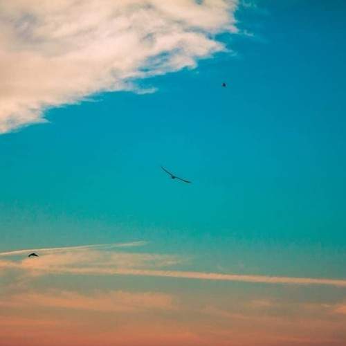 Photo #6077687