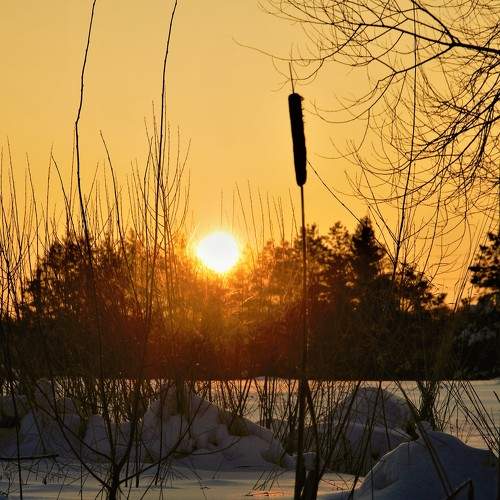 Photo #6078076