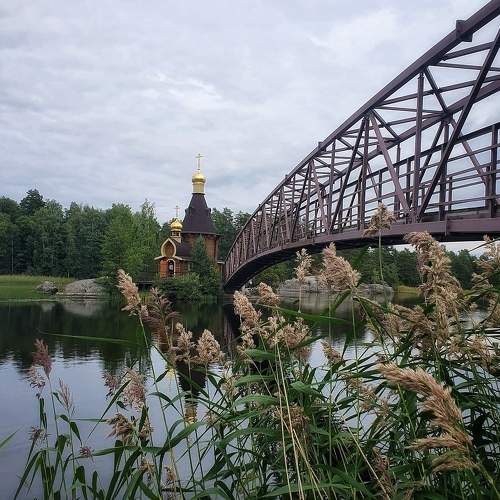 Photo #6078269