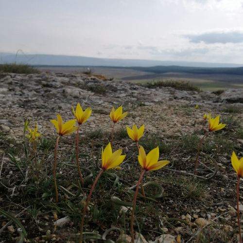Photo #6078320