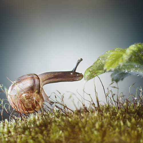 Photo #6078412