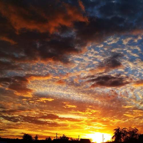 Photo #6078555
