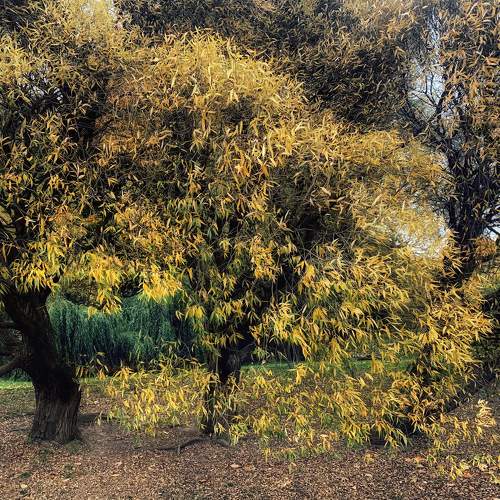 Photo #6078628