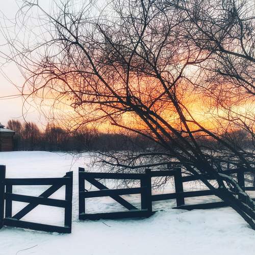 Photo #6078668