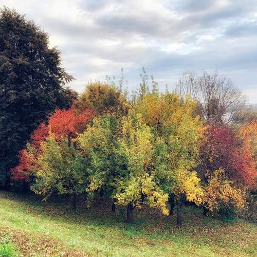 Photo #6078732