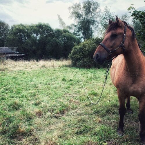 Photo #6078744
