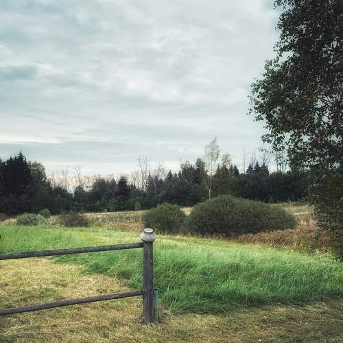 Photo #6078768