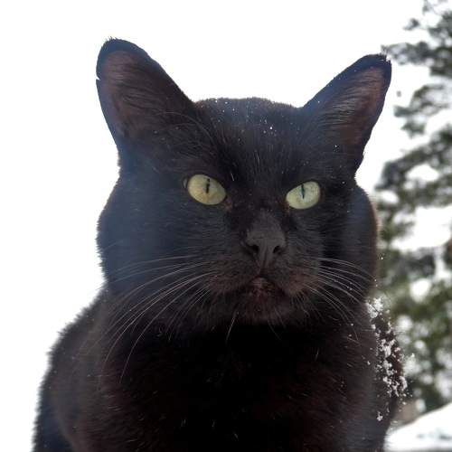 Photo #6079404