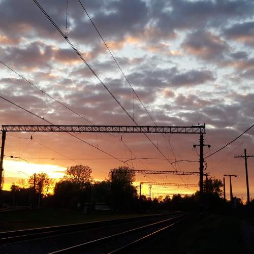 Photo #6079583