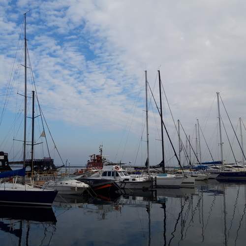Photo #6079593