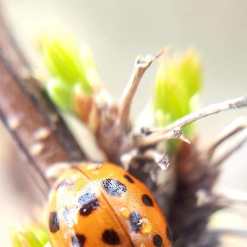 Photo #6079660