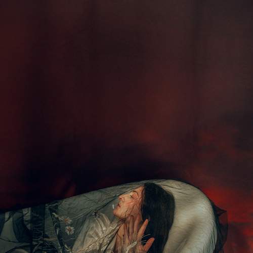 Photo #6079714