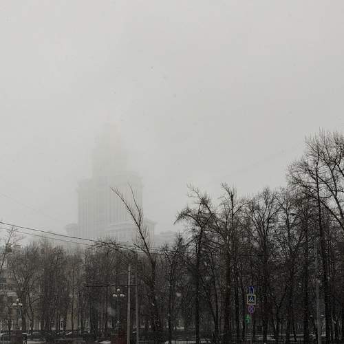 Photo #6079752