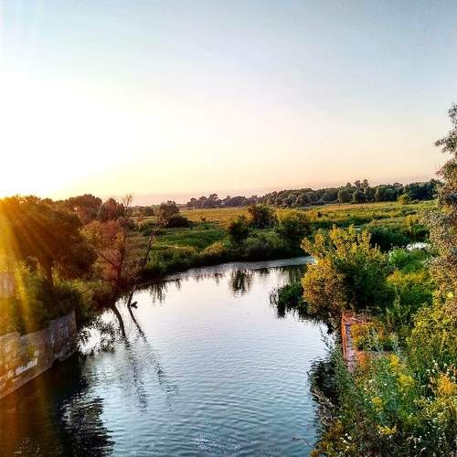 Photo #6079767