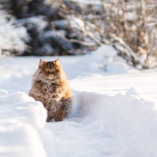 Фотография #6079898