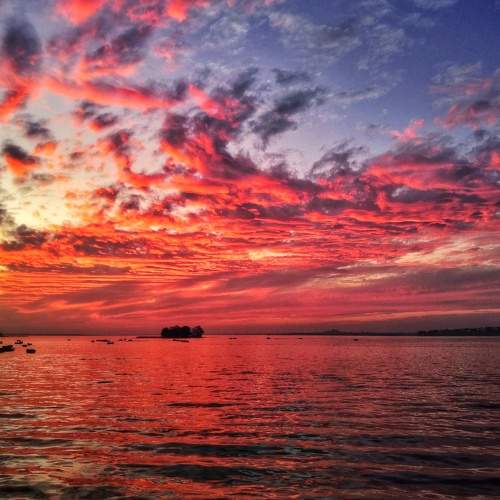 Photo #6080280