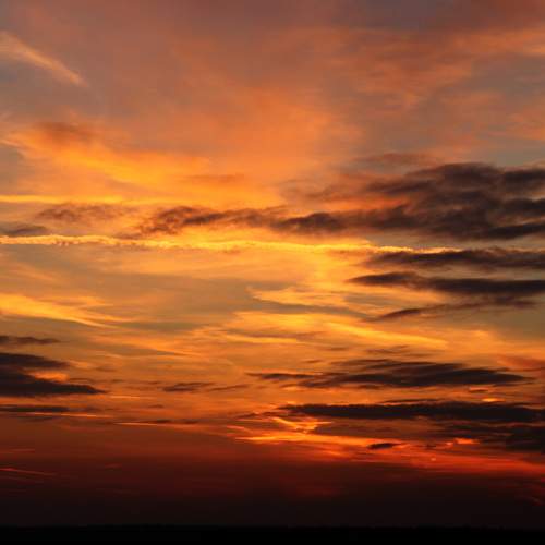 Photo #6080400
