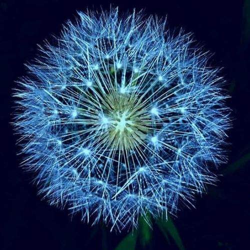 Photo #6080494