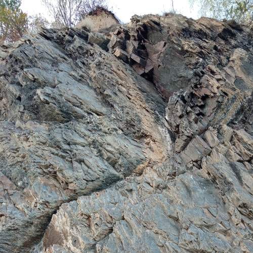 Photo #6080688