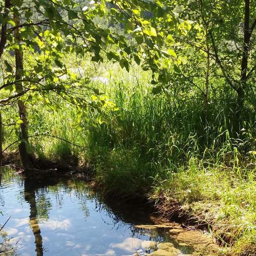 Photo #6080857