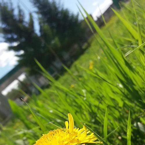 Photo #6080867