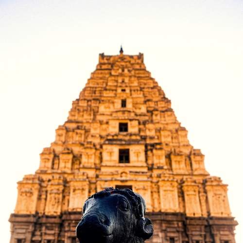 Photo #6080969