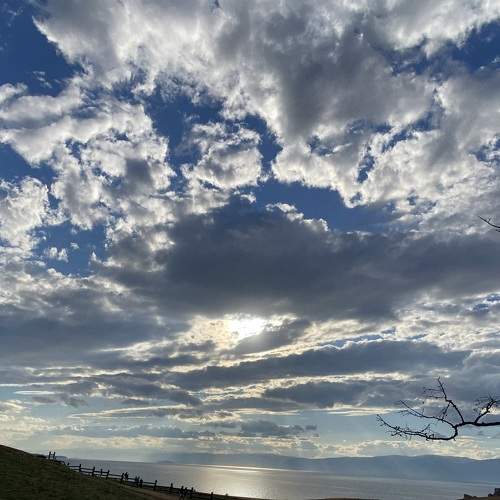 Photo #6081045