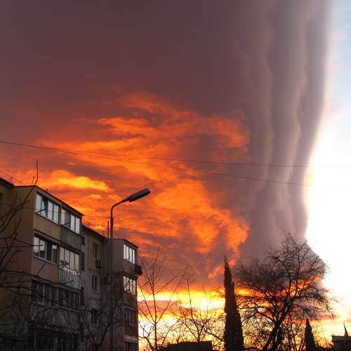 Photo #6081115