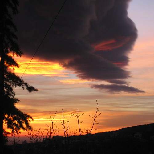 Photo #6081116