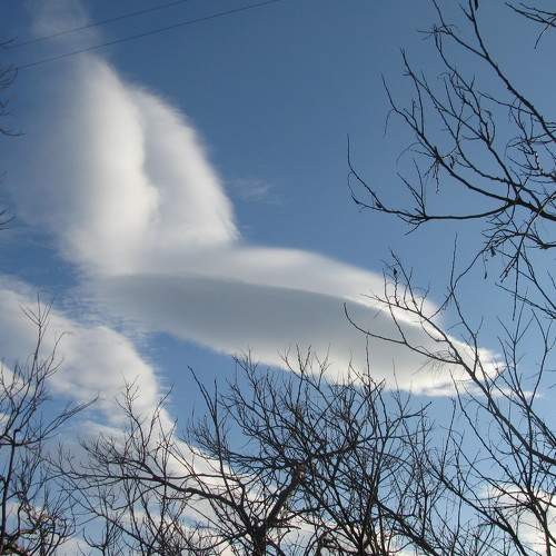 Photo #6081117