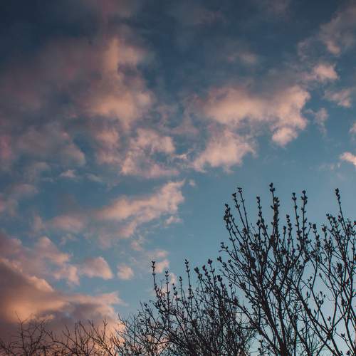 Photo #6081188