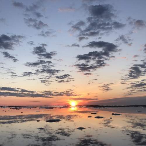 Photo #6081238