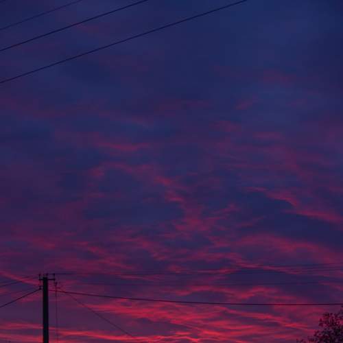 Photo #6081241