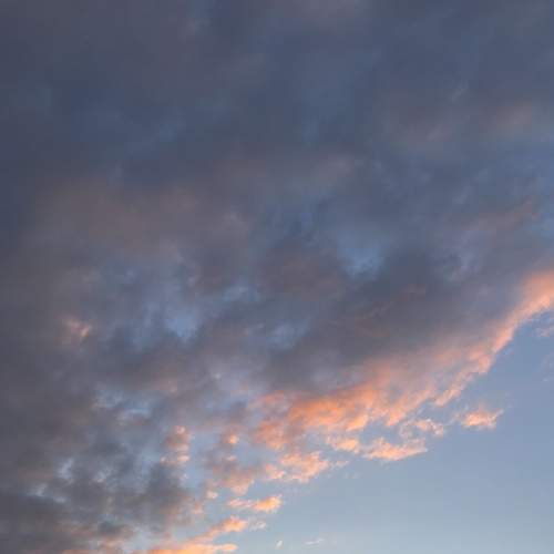 Photo #6081333