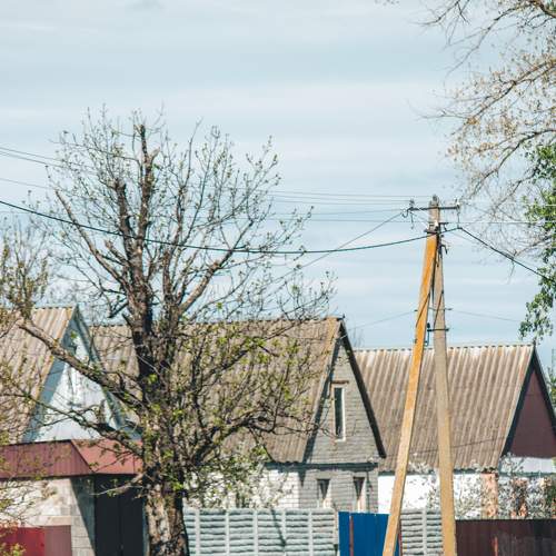 Photo #6081493