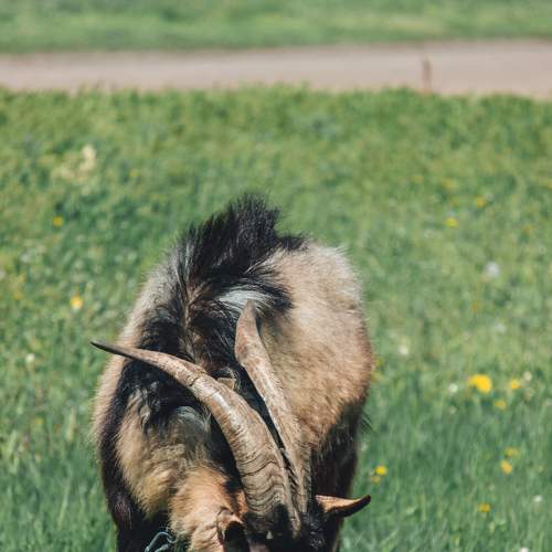 Photo #6081497