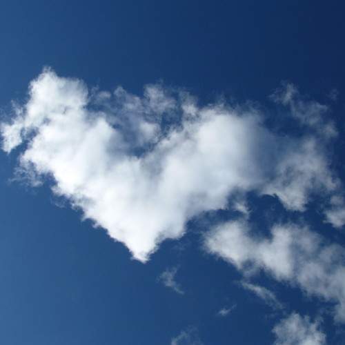 Photo #6082220
