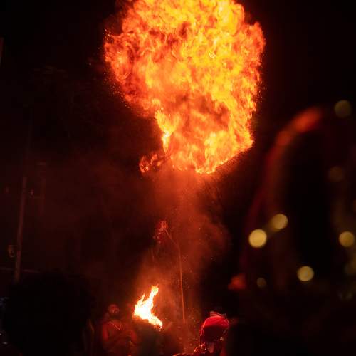 Photo #6082225