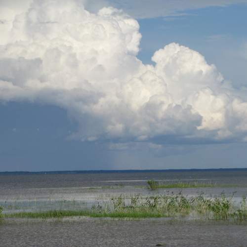 Photo #6082226