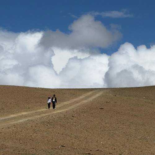 Photo #6082235