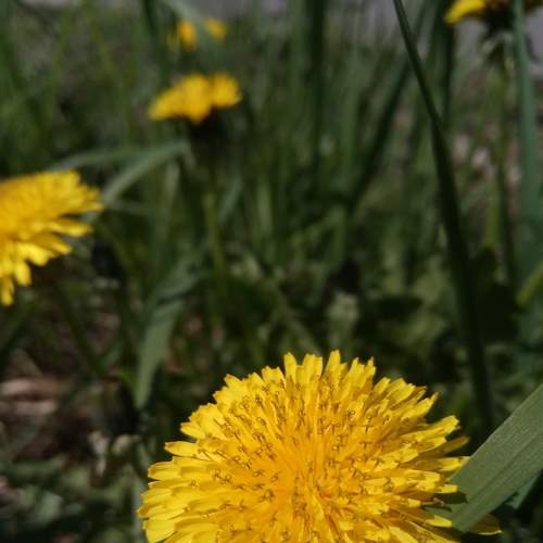 Photo #6082480