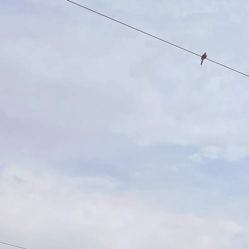 Photo #6082673
