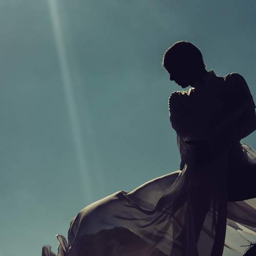Photo #6082920