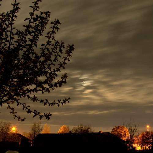 Photo #6083081