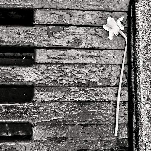 Photo #6083304