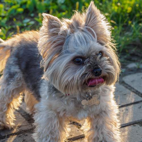 Photo #6083449