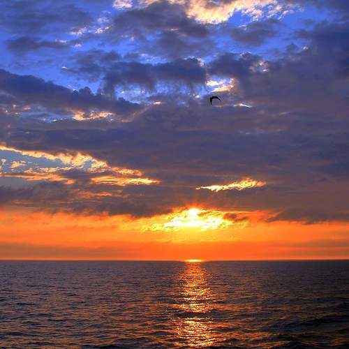 Photo #6083995
